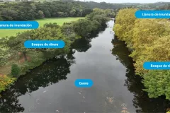 Partes de un río