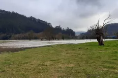 Llanura de inundación en estado natural