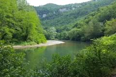 Río cantábrico en buen estado de conservación